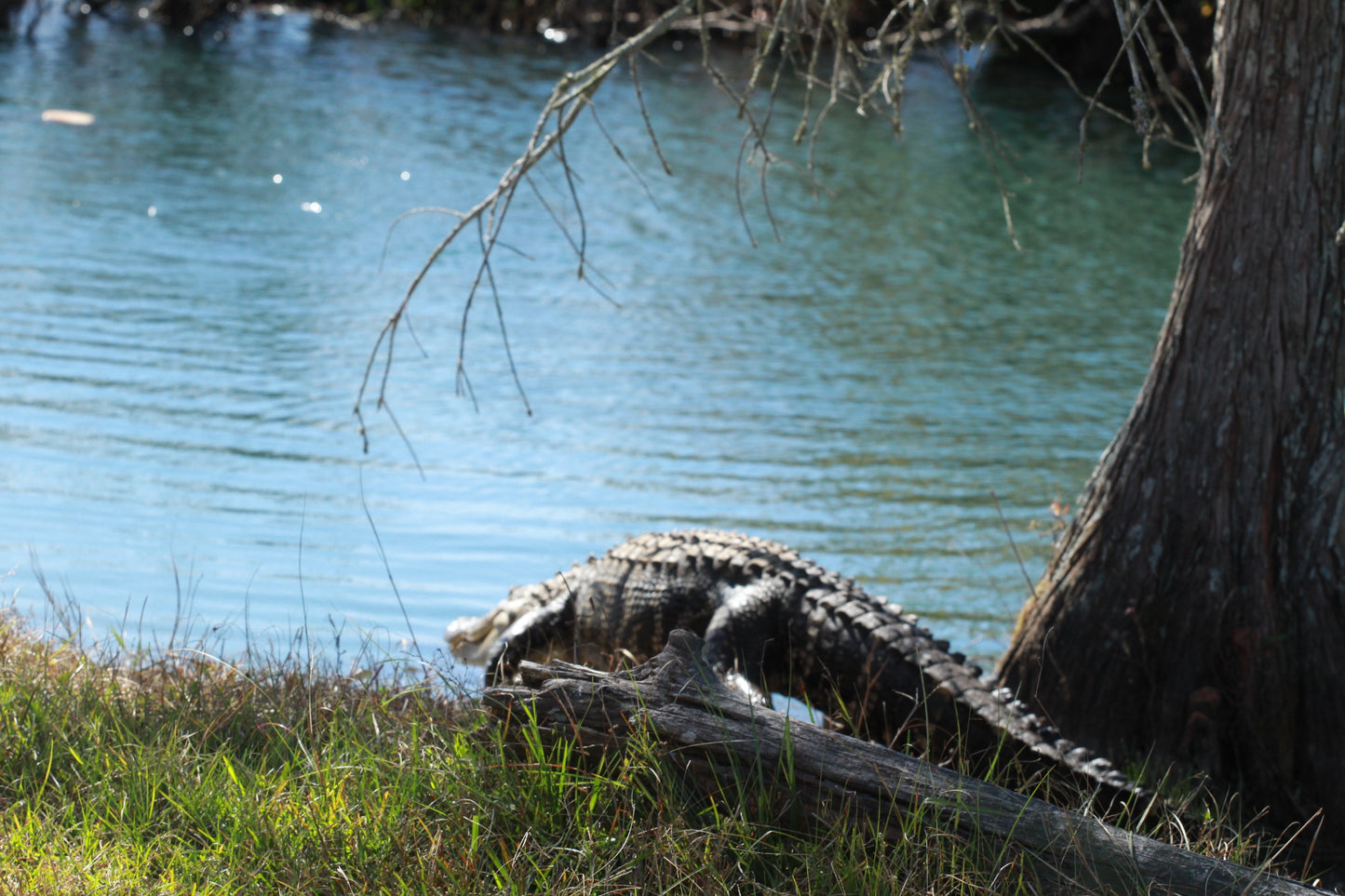 Events Photography Portfolio