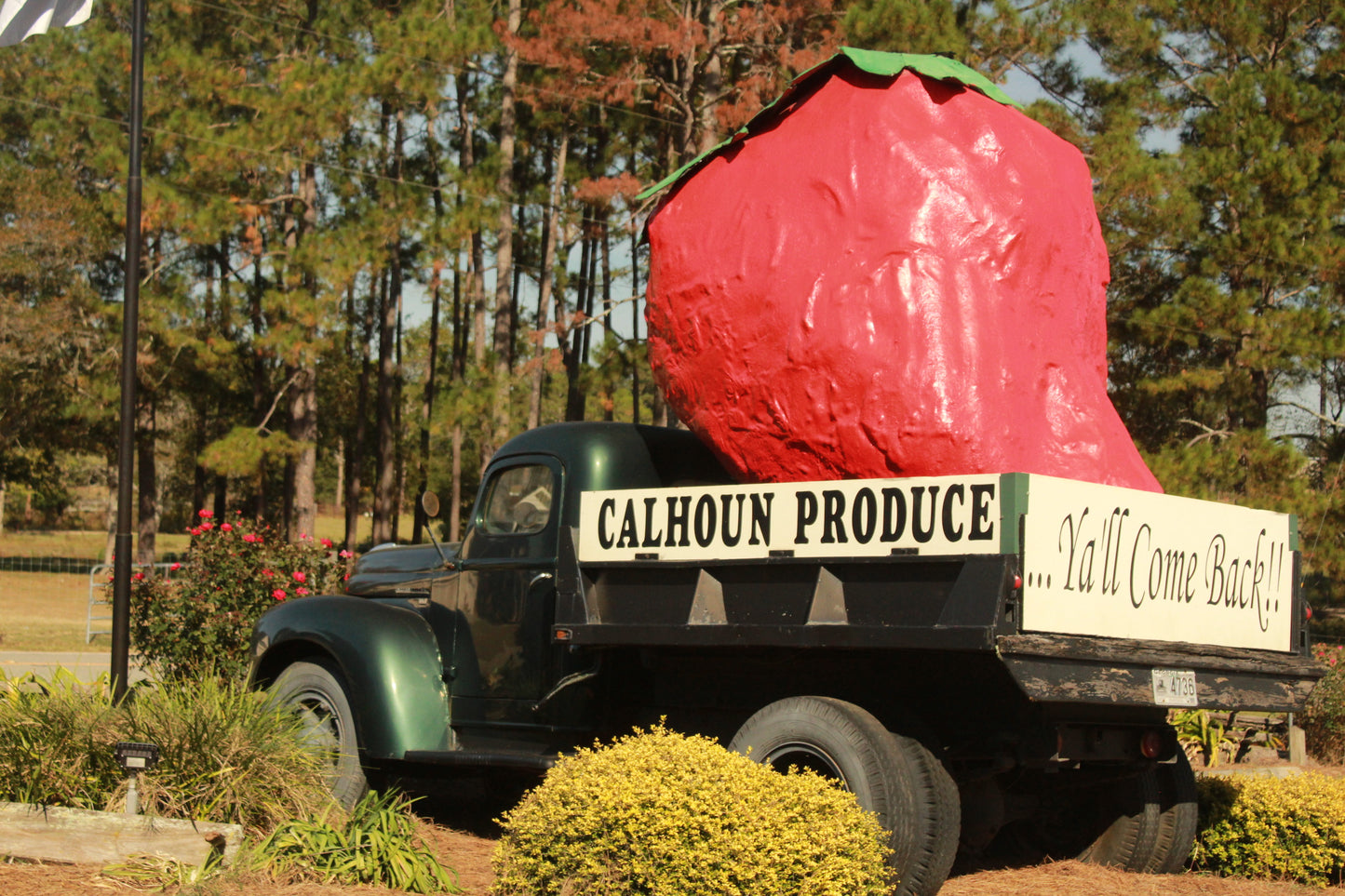 Events Photography Portfolio